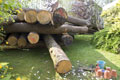 Click to see it big Impression aus dem Atelier